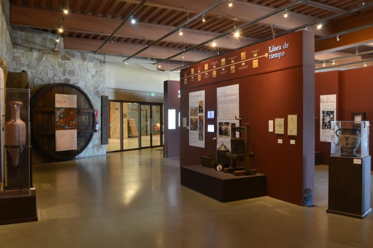 museo 1 768x510